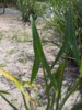 20160731_123839.jpg