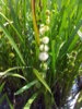 20160731_123921.jpg