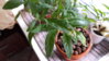 20160625_113827.jpg