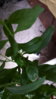 20160625_113838.jpg