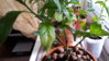 20160625_113926.jpg