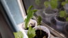 20160625_113956.jpg