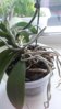 20160817_134738.jpg