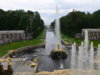 P1090274.JPG