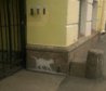IMAG4054_1.jpg