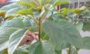 20160818_172510.jpg