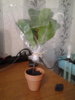 20160819_161659.jpg