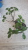 20160821_180044.jpg