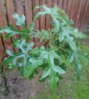 IMG_20160822_235259.jpg