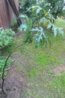 IMG_20160822_235337.jpg