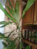 20160825_194530.jpg