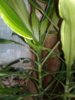 20160825_194536.jpg