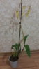 20160910_193723.jpg