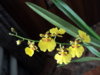DSC03323.JPG