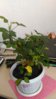 P_20160910_133654.jpg