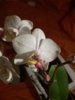 20160920_231959.jpg