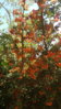 20160922_153459.jpg