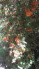 20160922_153517.jpg