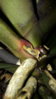20160924_234826.jpg
