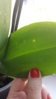 20160927_094619.jpg