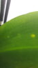 20160927_094624.jpg