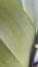 20160927_094631.jpg