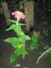 IMG_20160928_172050.jpg