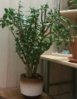 20160928_200557-2-1.jpg