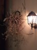 IMG_2016-10-02_204923.jpg