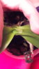 20161005_214821.jpg