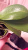 20161005_214903.jpg