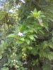IMG_20161004_140727.jpg