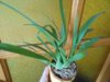 DSCN6869.JPG