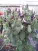 IMG-20161011-WA0001.jpg