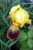 20160603_163516.jpg