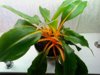 aviary-image-1476718106167-640x480.jpeg