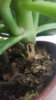 20161024_093329.jpg