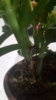 20161024_093405.jpg