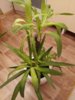 20161025_033740.jpg