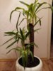 20161025_033803.jpg