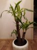 20161025_033708.jpg