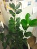 IMG_20161031_215823.jpg
