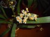 DSCN7005.JPG