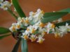 DSCN7018.JPG