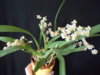 DSCN7039.JPG