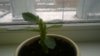 WP_20161107_09_46_10_Pro.jpg