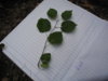 DSCN4715.JPG
