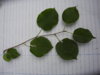 DSCN4716.JPG
