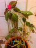 IMG_20161110_190946.jpg
