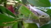 WP_20161120_17_03_58_Pro.jpg